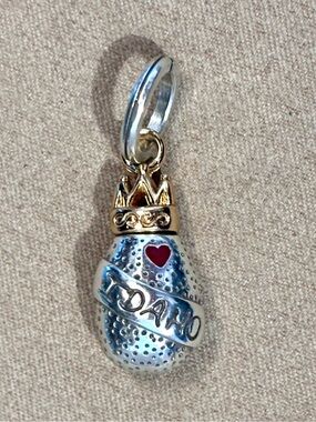 🆕 Brighton Idaho state charm Silver potato Gold crown Engraved sash Red heart